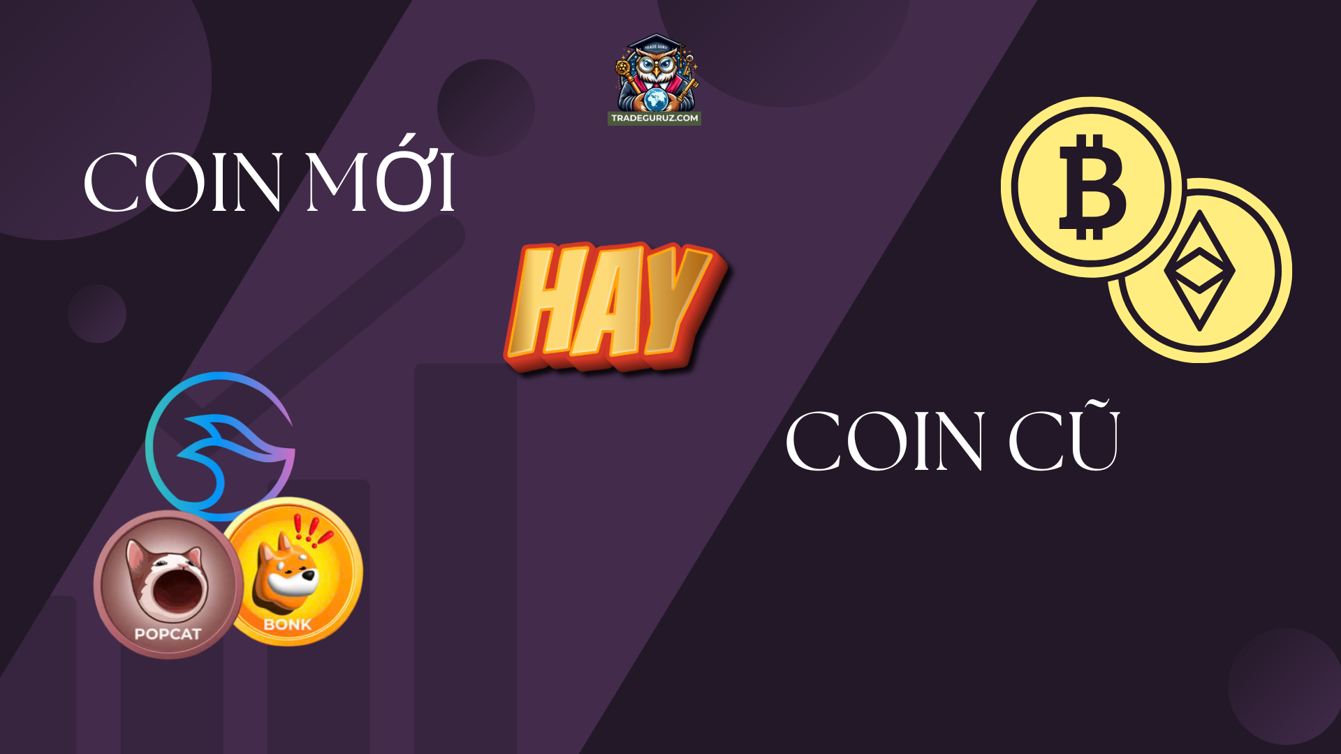 Coin mới và coin cũ